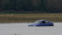 A car that was stranded earlier in the month remains under floodwaters in a field near Sumas, Wash., Monday, Nov. 29, 2021. People in Sumas, located near the Canadian border, were asked to evacuate voluntarily Saturday night, as communities in the area were still dealing with flooding from a storm earlier in the month. (AP Photo/Elaine Thompson)