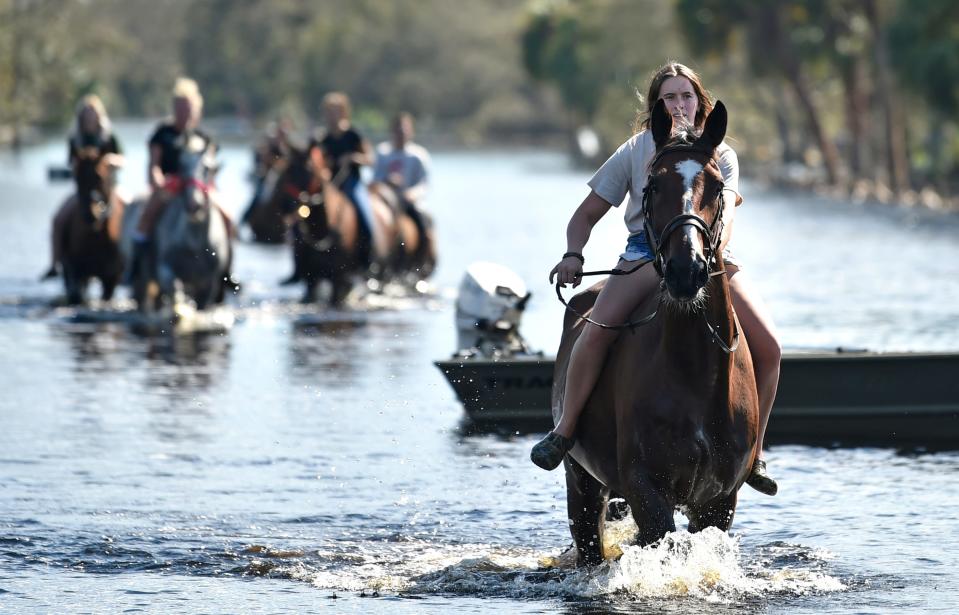 Horse rescuing was on the agenda Saturday afternoon off of S Moon Dr, in east Venice, Florida. Here Haley Milenki, 18, riding Ronin a 17.3 hand high Irish Sport Horse was one of eight horses that were relocated to Fox Lea Farm in Venice after rising floodwaters along the Myakka River inundated the entire neighborhood from Hurricane Ian earlier in the week.