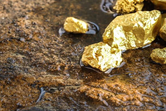 Shiny gold nuggets on wet rock.