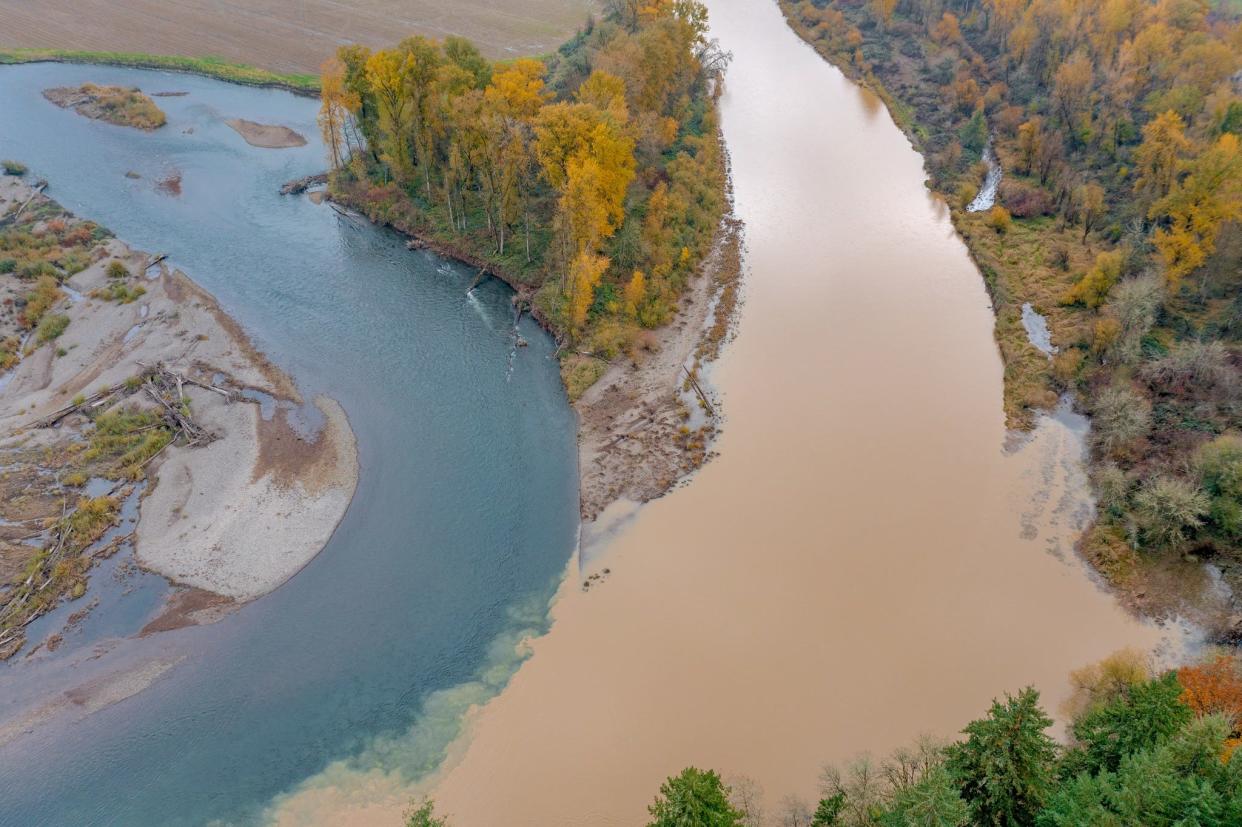 The confluence of the South and North Santiam rivers earlier this year shows the extremely muddy water of the South Santiam due to the drawdown of Green Peter Reservoir.