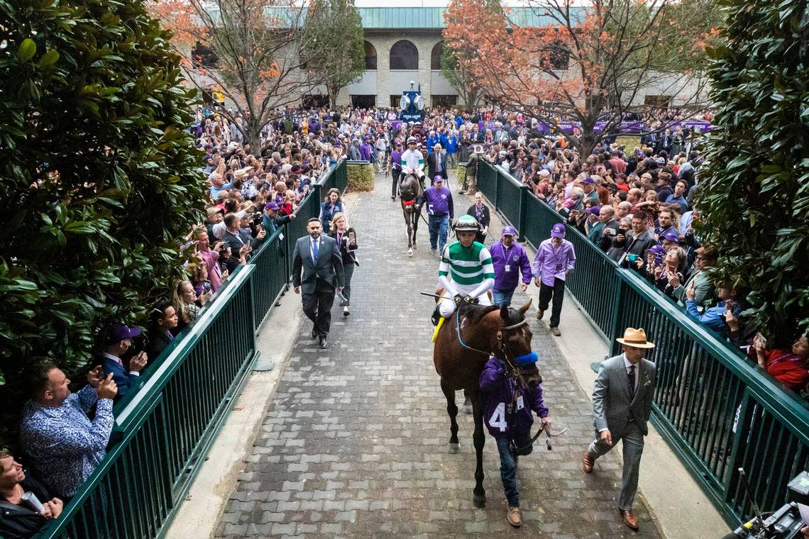 Flightline and Flavien Prat exit the paddock before Saturday’s Breeders’ Cup Classic. The crowd of 45,973 was abuzz with anticipation before the race and roaring with approval minutes later.