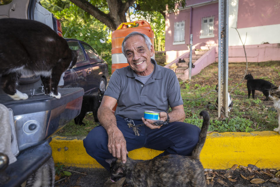 Alfonso Ocasio smiles as he feeds a colony of stray cats in Old San Juan, Puerto Rico, Wednesday, Nov. 2, 2022. Ocasio, an animal lover who spends up to $15 a week feeding cats, said he adopts those who are sick and elderly, caring for them in their last days. (AP Photo/Alejandro Granadillo)