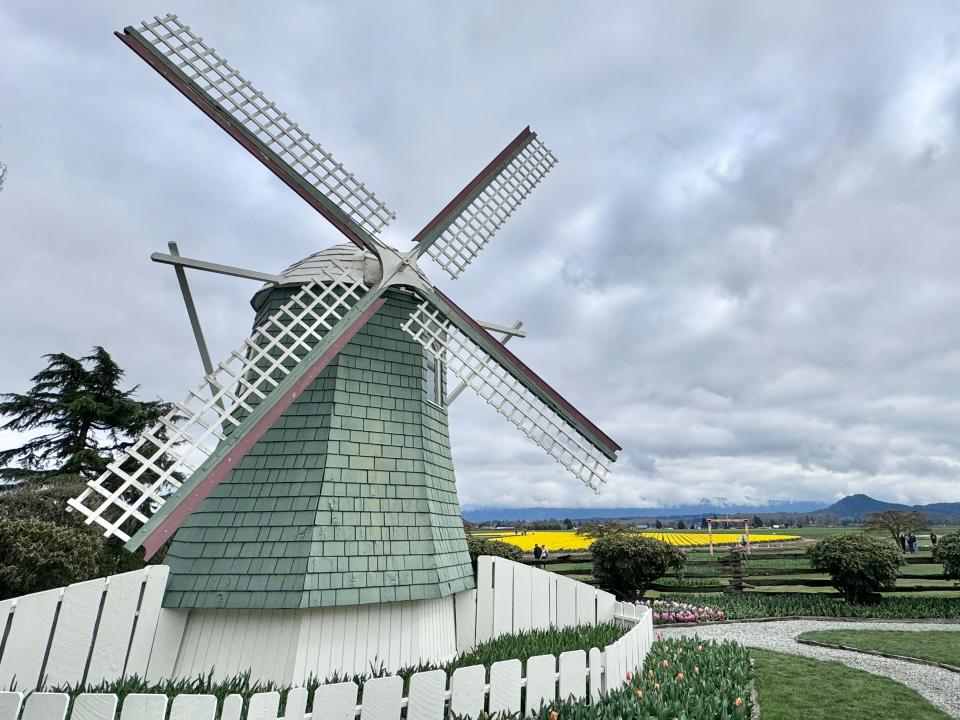 A green Dutch windmill with fields of flowers in the background.