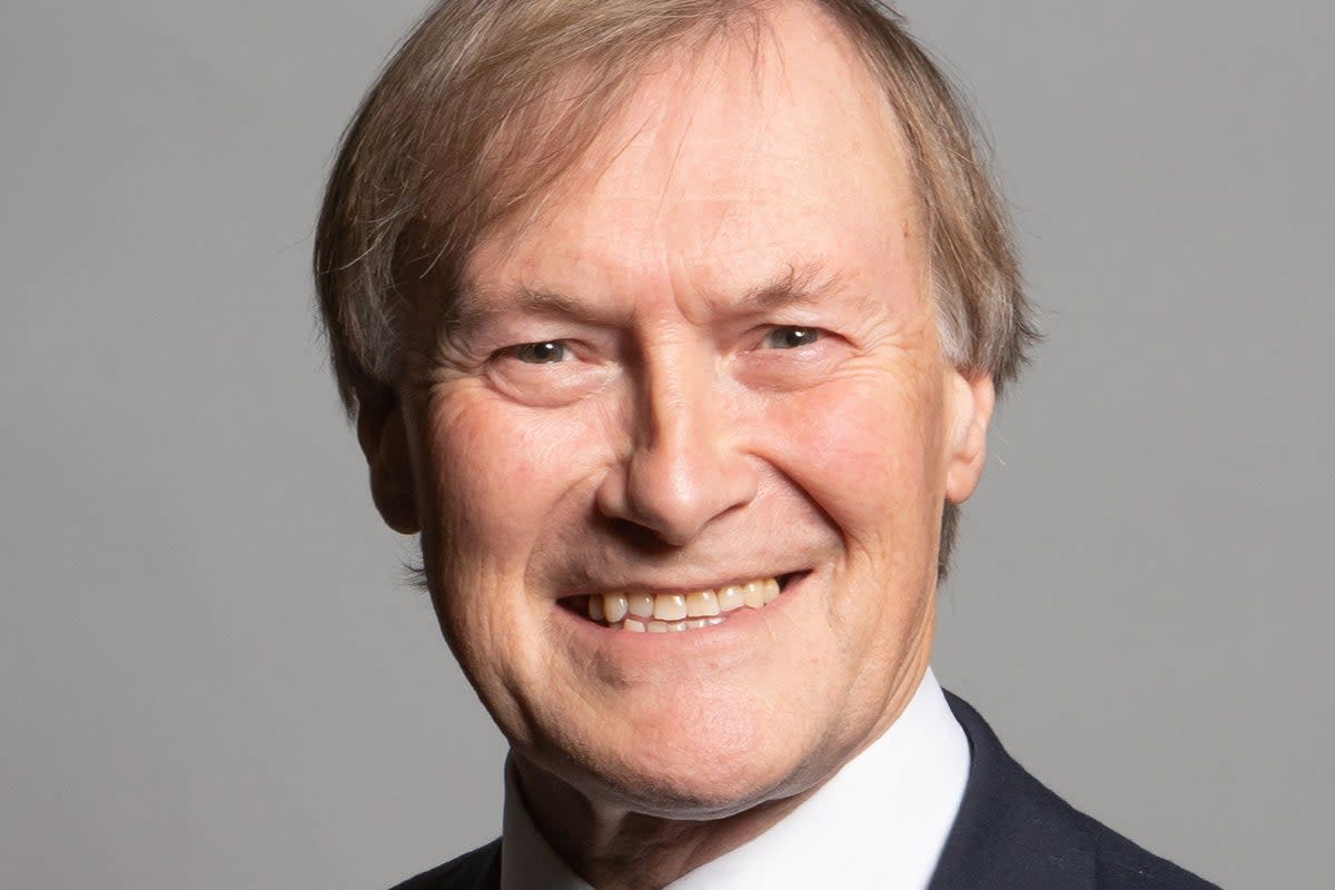 Sir David Amess was murdered in October 2021 (Chris McAndrew/UK Parliament/PA)