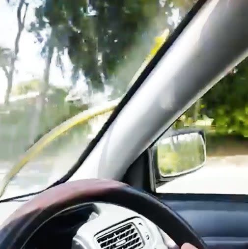 The snake eventually able to get a grip of the situation and slither its way up toward the driver's window. Photo: YouTube