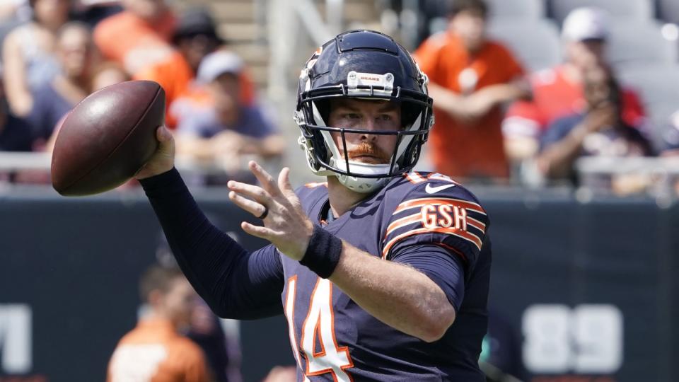 Chicago Bears quarterback Andy Dalton (14) looks to pass.