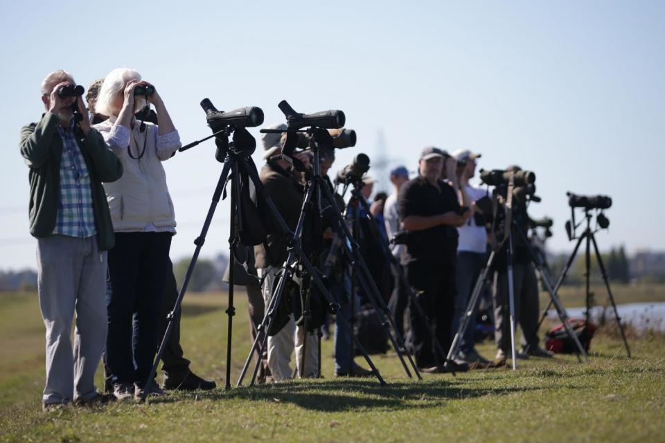 Groups of people have travelled to see the whale(AFP/Getty Images)