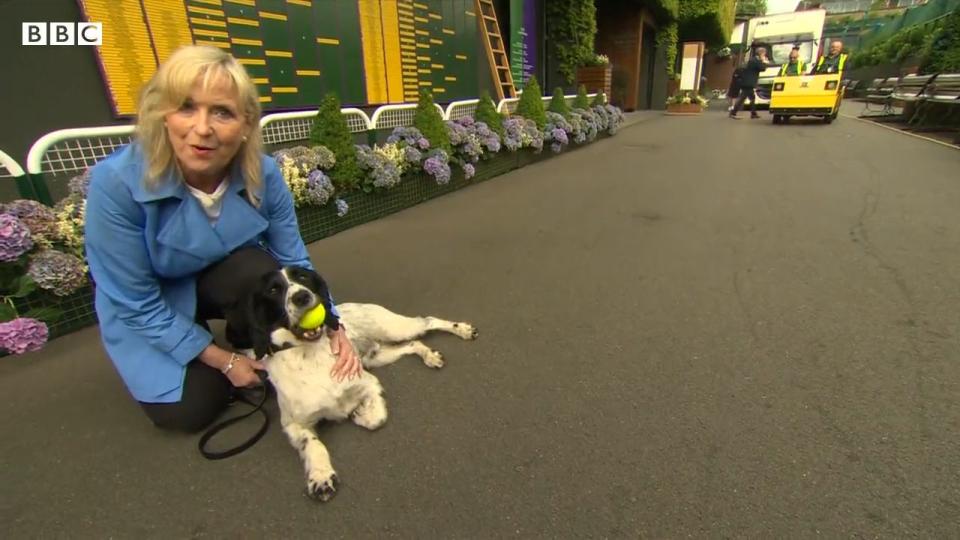 carol kirkwood dragged to floor by dog on bbc breakfast