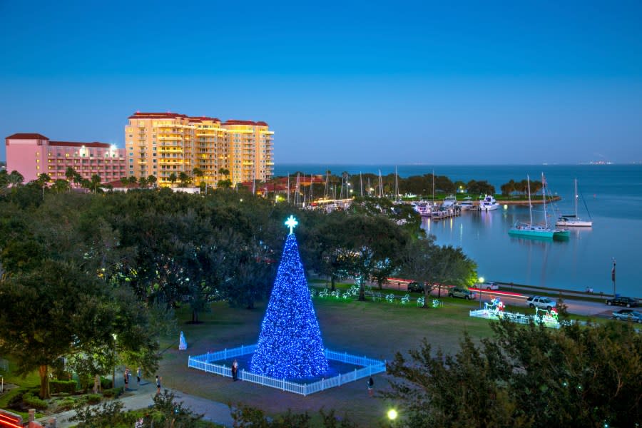 Christmas tree decorates North Straub Park in downtown Saint Petersburg, Florida. (Getty Images)