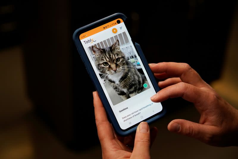 Dr. Liz Ruelle uses a new app called Tably that reads cat's faces and helps her monitor a cat's health at the Wild Rose Cat clinic in Calgary