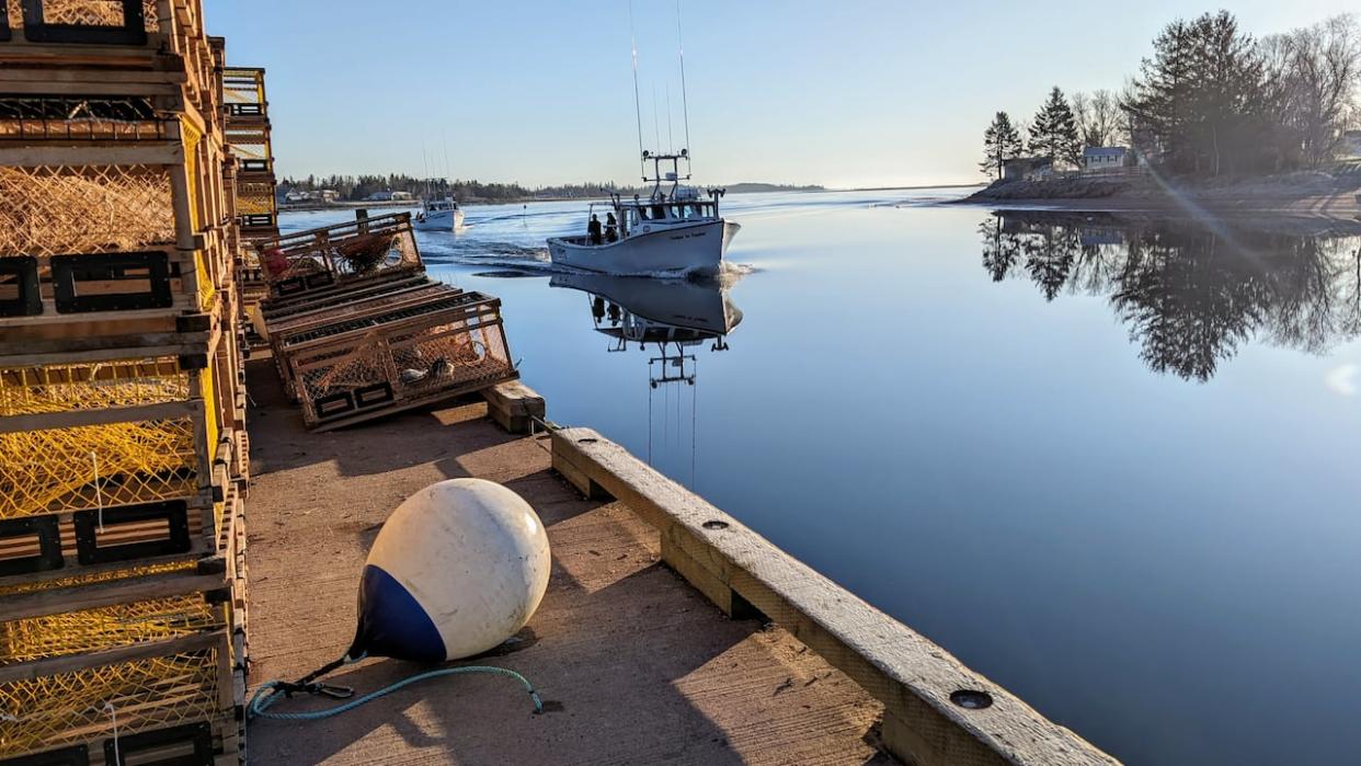 A lobster fishing crew returns to the Murray Harbour wharf after setting traps on Saturday. (Ken Linton/CBC - image credit)