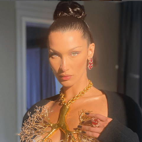 <p>&#64;bellahadid / Instagram</p>