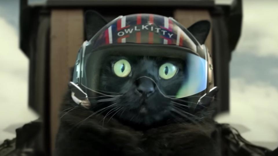 A black cat wearing a pilot helmet and flying a fighterjet in a Top Gun mashup