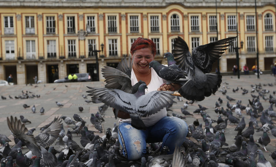 A woman feeds pigeons at Bolivar Square in Bogota, Colombia, Tuesday, Oct. 2, 2018. Colombia's capital is trying to fight pigeon overpopulation by urging people to stop feeding them. (AP Photo/Fernando Vergara)