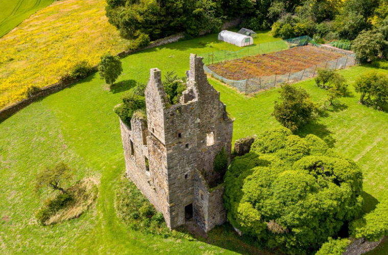 Piteadie Castle is "a castle ruin with restoration potential". Photo: Savills