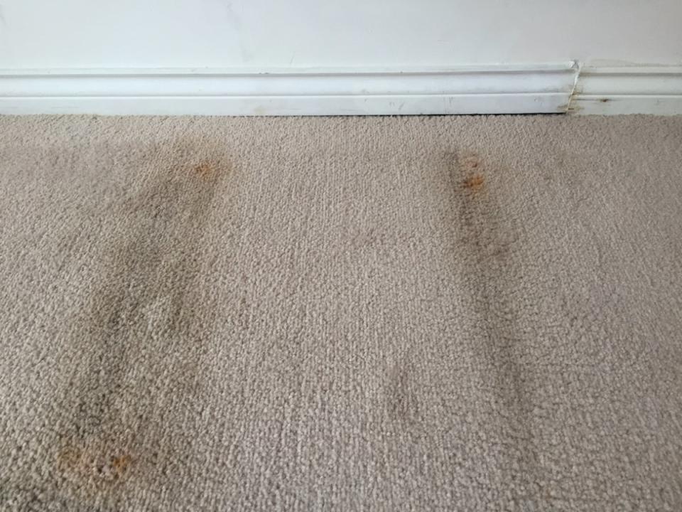 Stained beige carpet