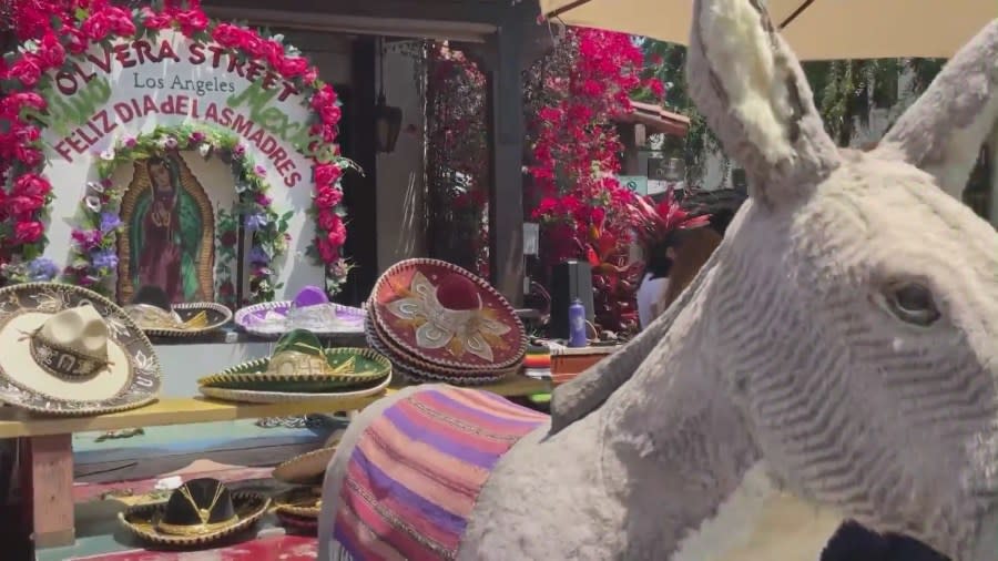 L.A.'s Olvera Street burro in danger of being evicted