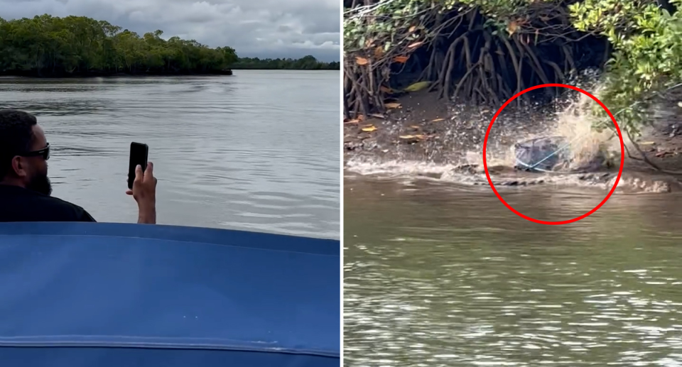 A saltwater crocodile has been filmed with its head inside a crab trap. Source: Facebook