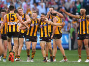 <p>Hawthorn players react at the final siren.</p>