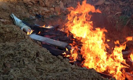 Some of the hundreds of crocodiles, killed by angry locals after a man was killed in a crocodile attack, are burned by government authorities in Sorong regency, West Papua, Indonesia, July 16, 2018. Antara Foto/Olha Mulalinda/ via REUTERS