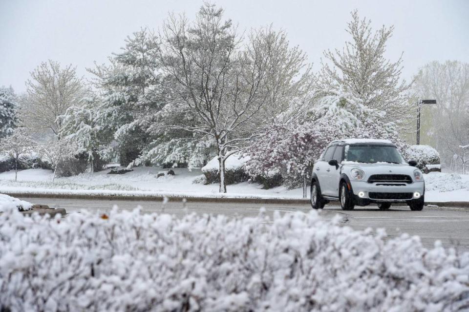 Snow blanketed the shrubs and trees on Tuesday, April 20, along Prairie Star Parkway in Lenexa after a storm dropped about two inches of snow.