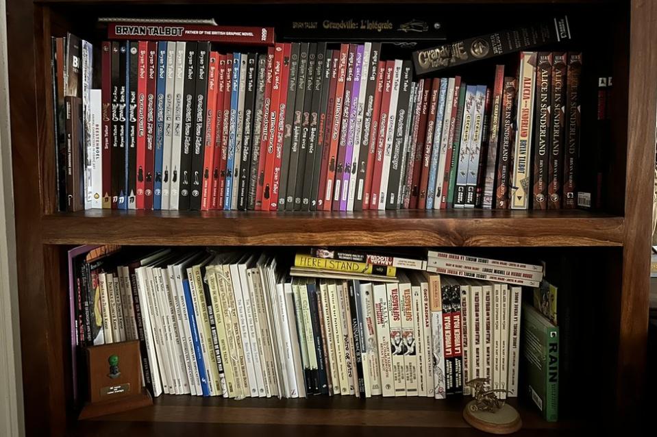 Two shelves filled with books