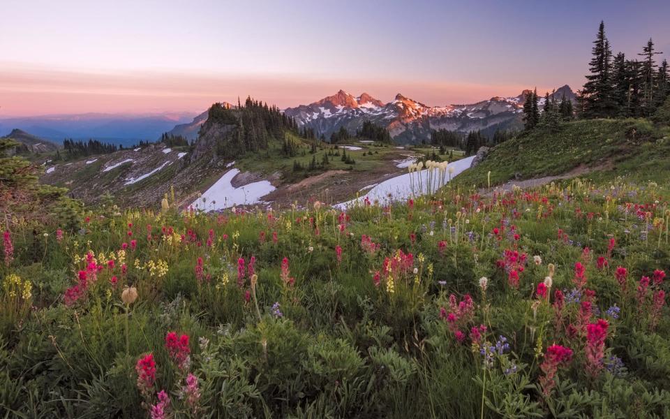 Mount Rainier National Park, Washington