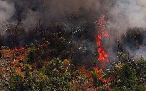 Smoke rising from fires in the Amazon - Credit: AFP