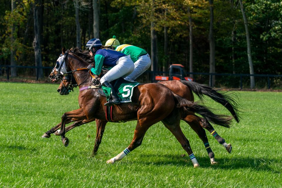 The Far Hills Race Meeting this year will have seven races, including the $100,000 two-mile John Forbes Memorial Race that debuted in 2022.