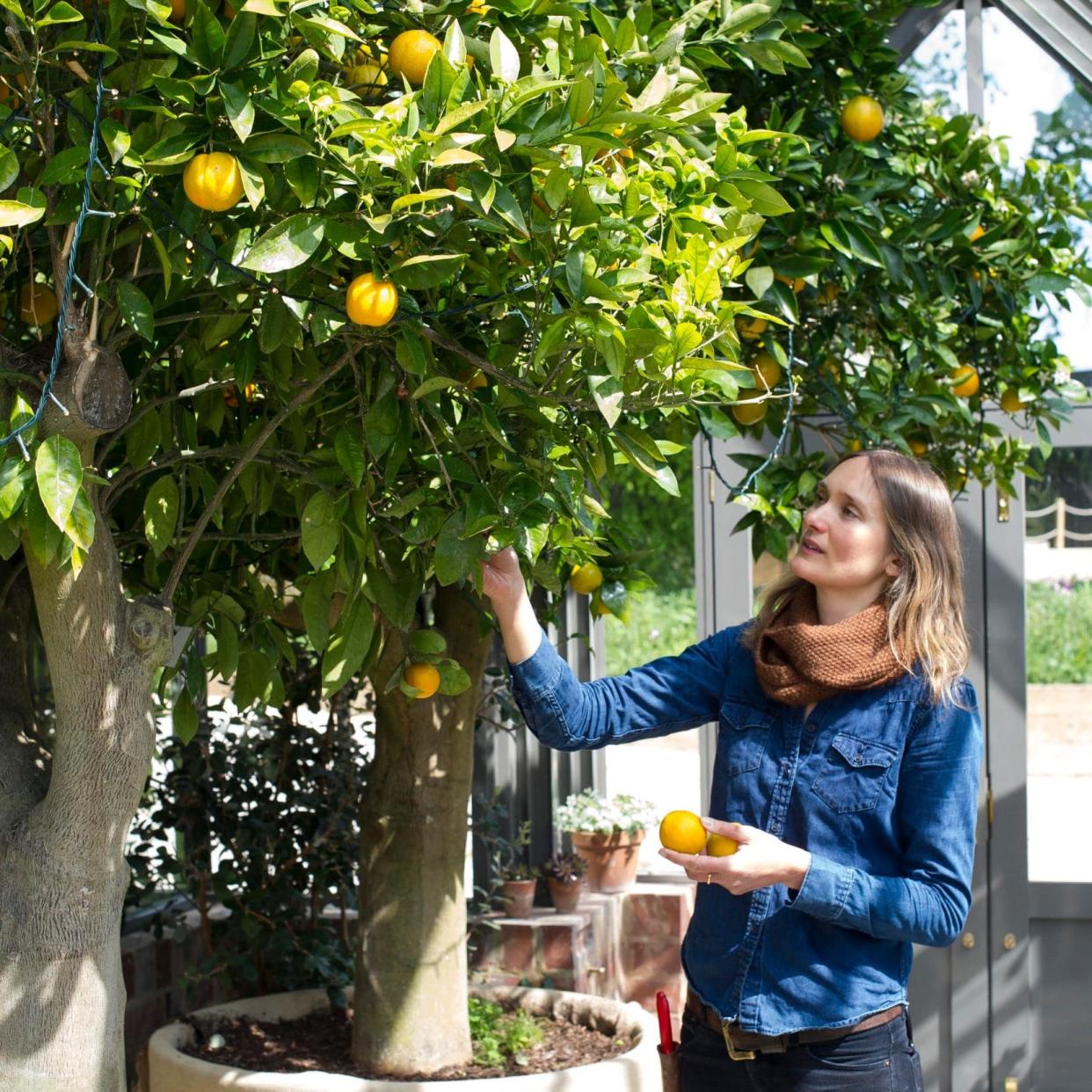 Anna Greenland, head gardener at Soho Farmhouse - Mark Diacono