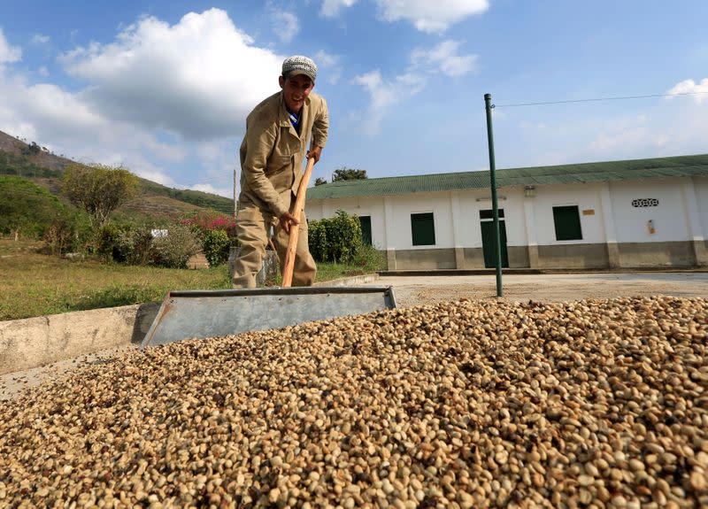 Foto de archivo. Un trabajador esparce café en el proceso de secado cerca al municipio de Pueblo Bello, en el departamento de Cesar, Colombia, 29 de enero, 2014. REUTERS/José Miguel Gómez