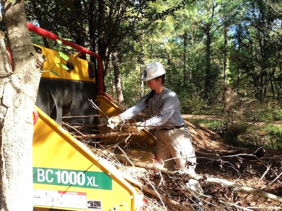 Kristen Bedard, an AmeriCorps volunteer from Pennsylvania, places limbs into a wood chipper donated by Vermeer MidSouth Inc.