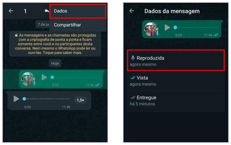 Como saber se a pessoa ouviu o áudio no WhatsApp no Android (Captura de tela: Matheus Bigogno)