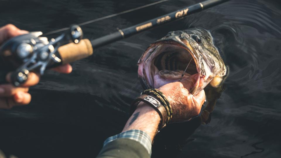 An angler holds a largemouth bass by the lip at boatside, with rod and reel in other hand.