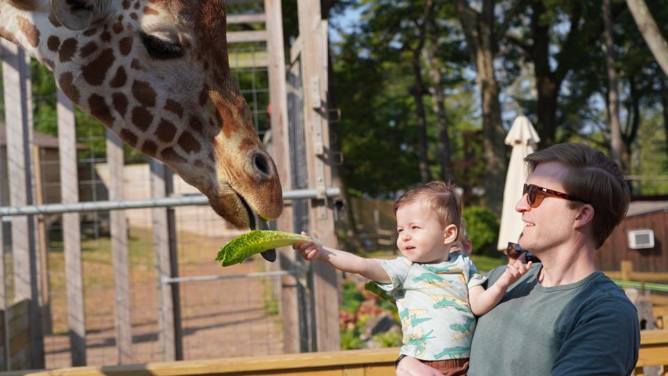 Elmwood Park Zoo is home to hundreds of animals and seeks to foster an appreciation for wildlife and the environment and inspire active participation in conservation.