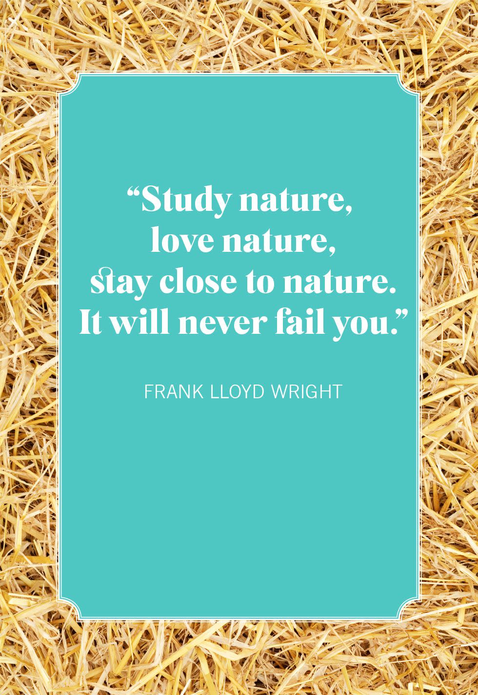 frank lloyd wright nature quotes
