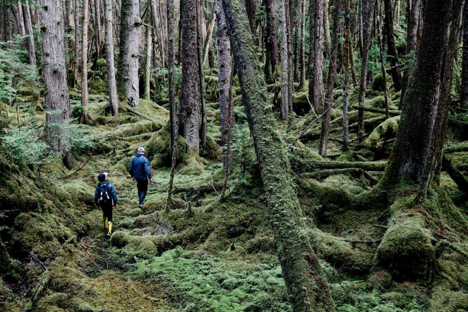 Native culture thrives in Canada's Queen Charlotte Islands, also called Haida Gwaii, located off the Pacific coast of British Columbia.