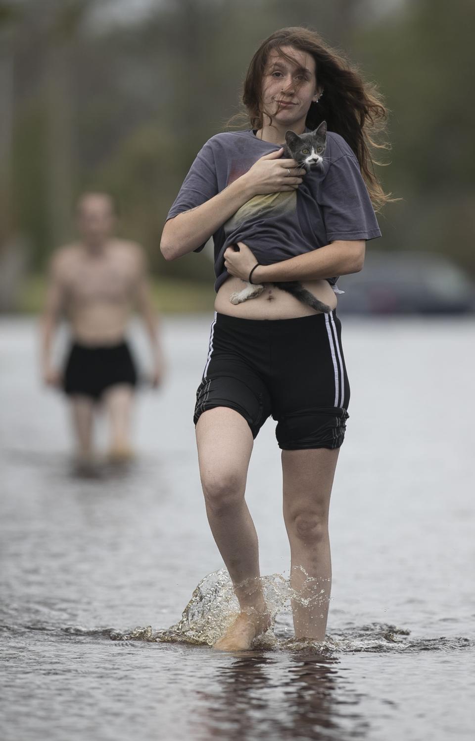 Saving pets after Hurricane Florence