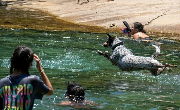 Residents swim at Barton Creek Pool on June 27, 2023 in Austin, Texas (AFP via Getty Images)