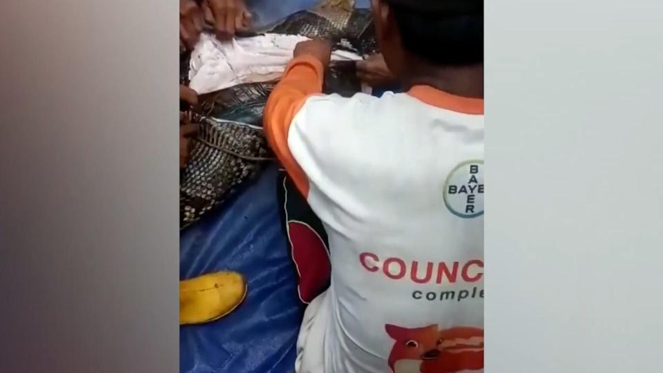 Authorities say a missing Indonesian grandmother was apparently eaten alive by a 22-foot python.