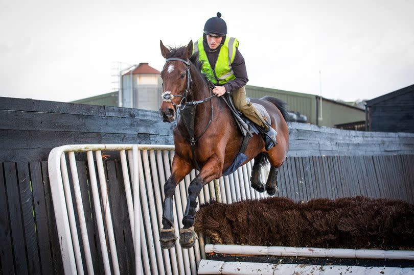 Harry Cobden cements his place in horse racing history with a first jockeys’ championship