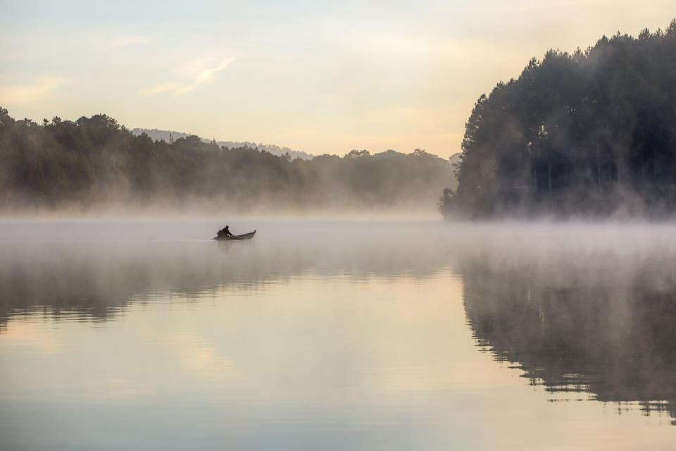 A person fishing in a swamp