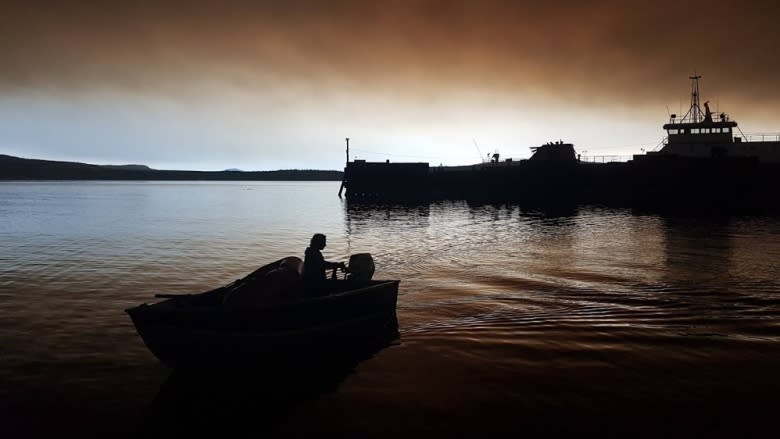 Forced out by B.C. wildfires, evacuees frustrated by rules preventing return to rescue pets and valuables