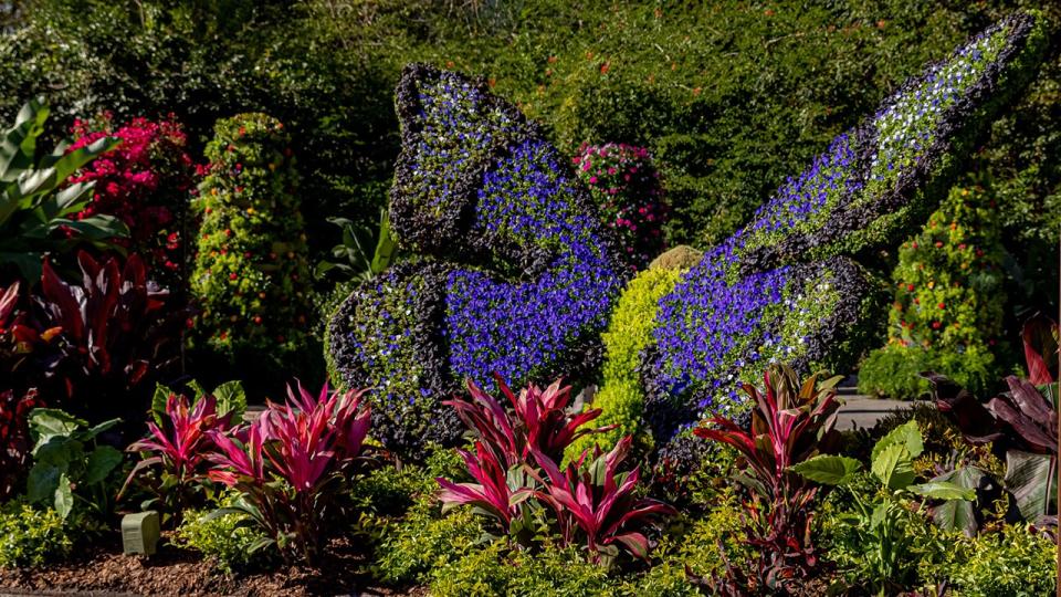 In the Encanto-themed garden, butterflies abound. (Photo: Walt Disney World Resort)