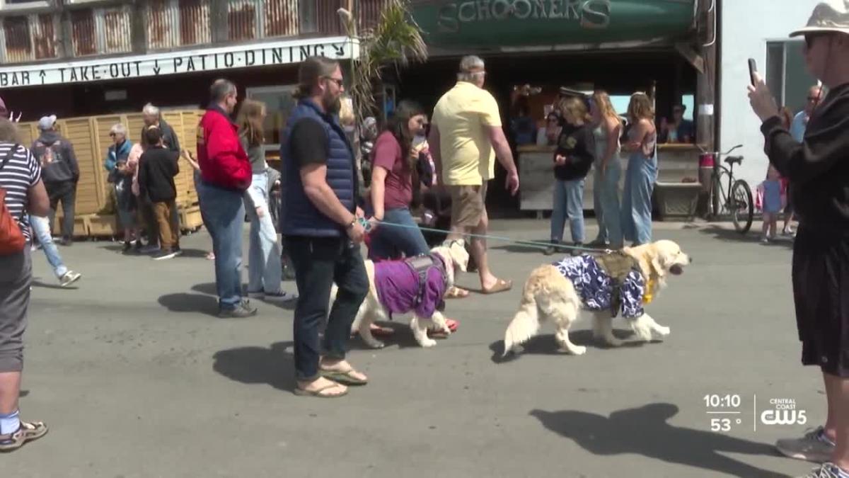 For the Dogs — LIONESS CLUB OF CAYUCOS