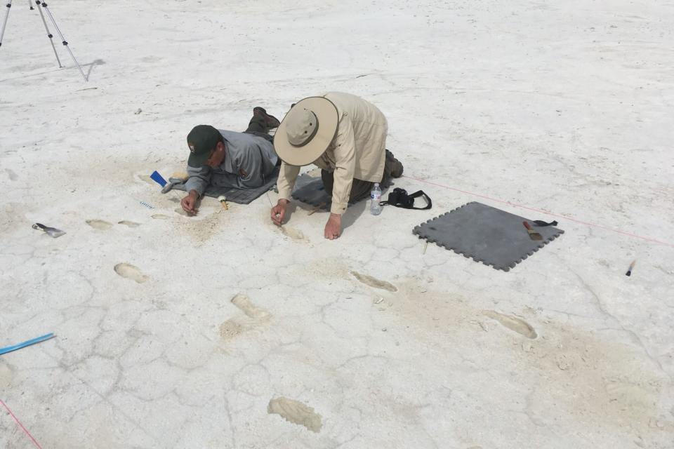 archaeologist uncovering human footprint at white sands national monument