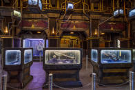 <p>The Collector apparently has a thing for film props: His gallery includes cases filled with the artifacts of the Kree (center; an orb and a blade similar to the weapon wielded by Ronan the Accuser in the first <em>Guardians</em>) and Chitauri (right; the energy gun used against Earth’s Mightiest in the first <em>Avengers</em>). (Photo: Disneyland Resort) </p>