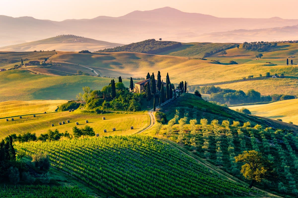Tuscany is home to some of the world’s most notable wine regions (Getty Images/iStockphoto)