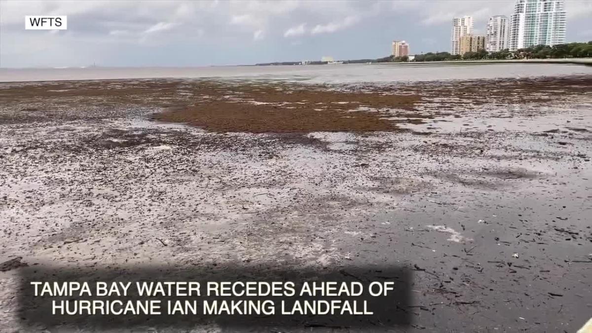 Hurricane Ian drains water across Tampa Bay area