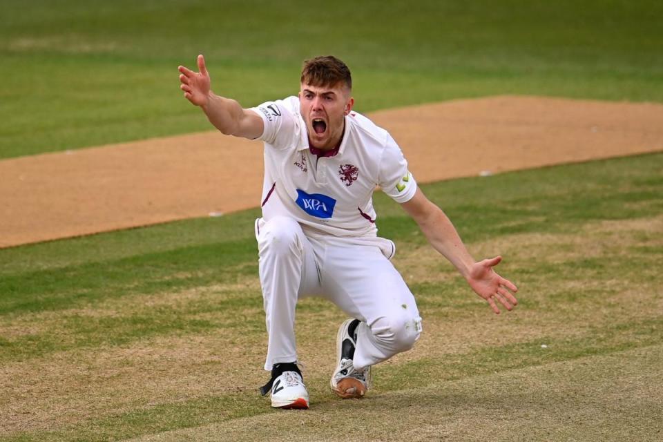 Kasey Aldridge was in top form <i>(Image: Somerset CCC)</i>